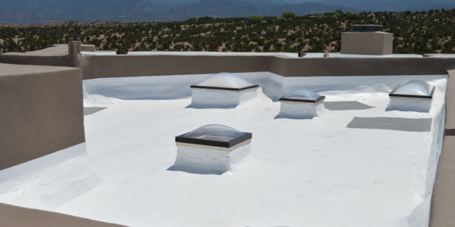 Roofs & Gutters